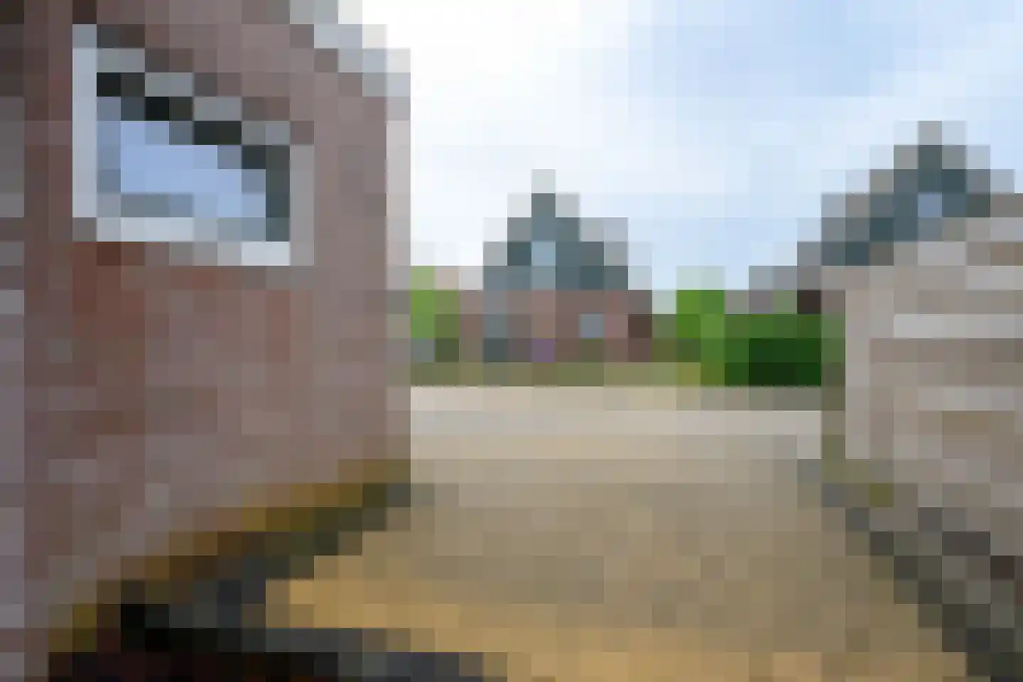 De Waid 94 Opperdoes thumbnail 23