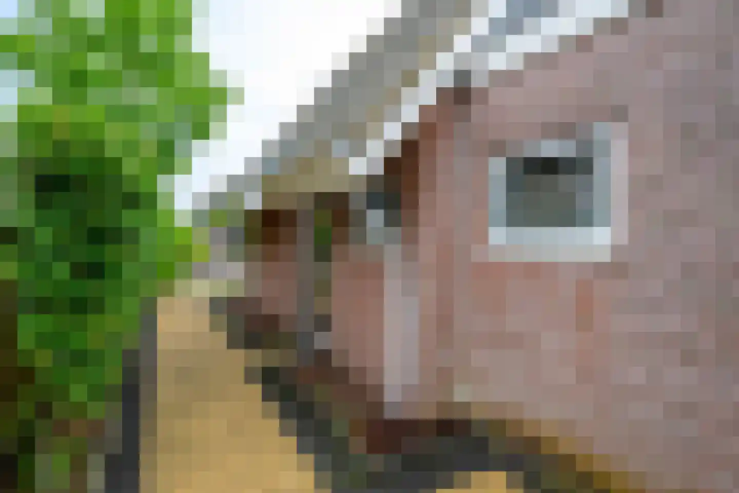 De Waid 94 Opperdoes thumbnail 24