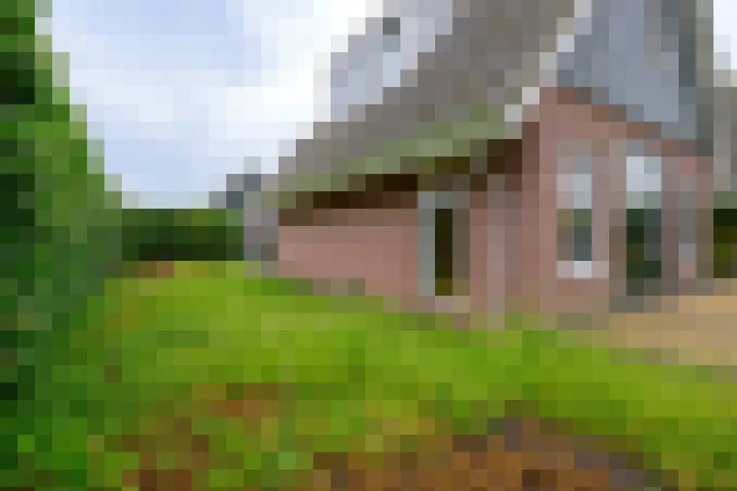 De Waid 94 Opperdoes thumbnail 26