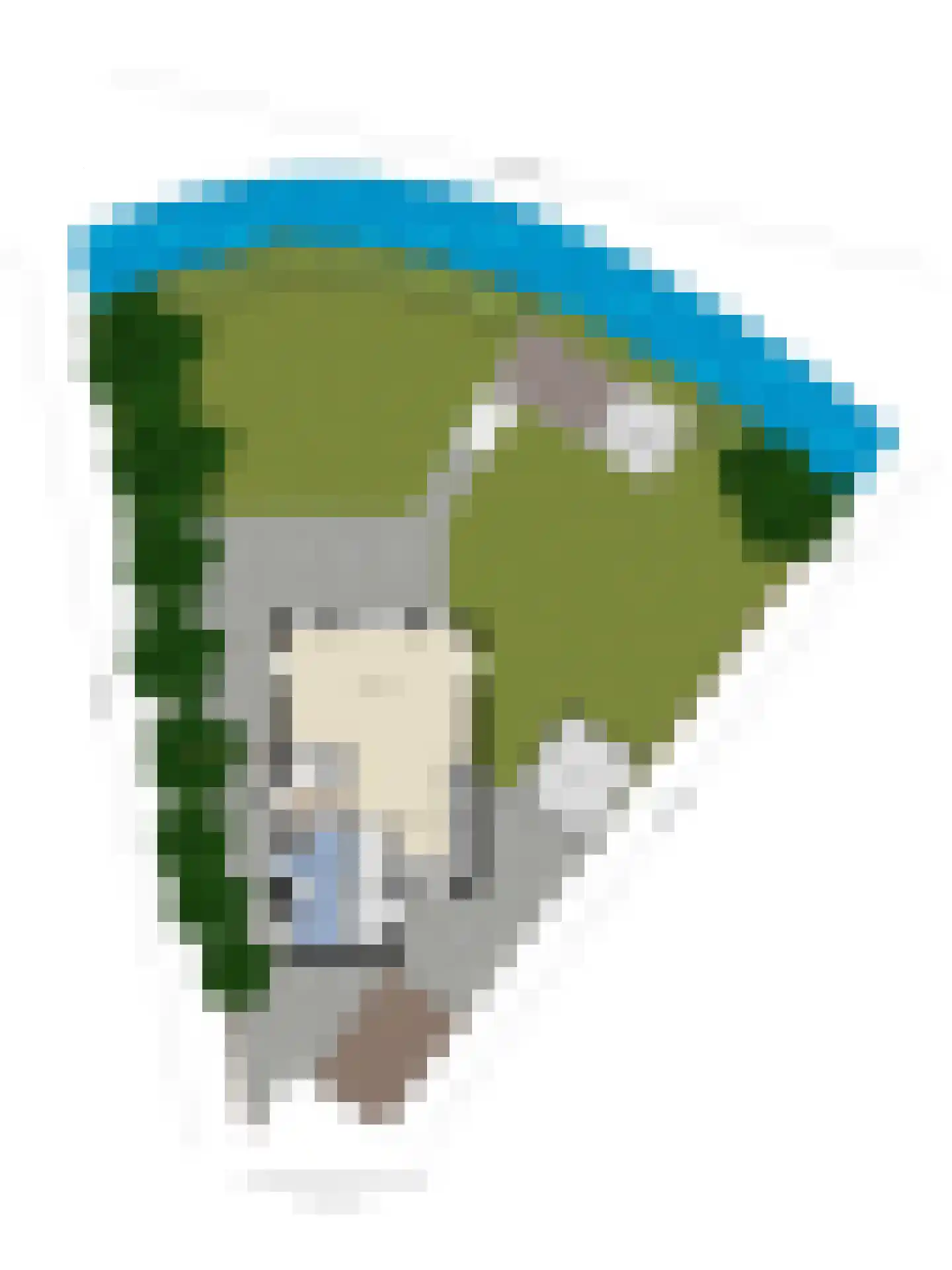 De Waid 99 Opperdoes thumbnail 31