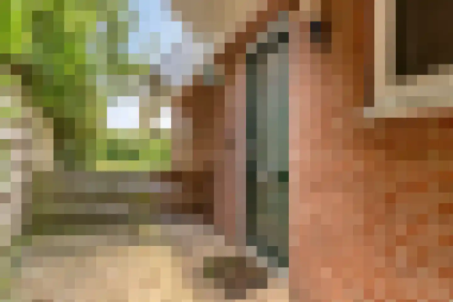 De Waid 99 Opperdoes thumbnail 7