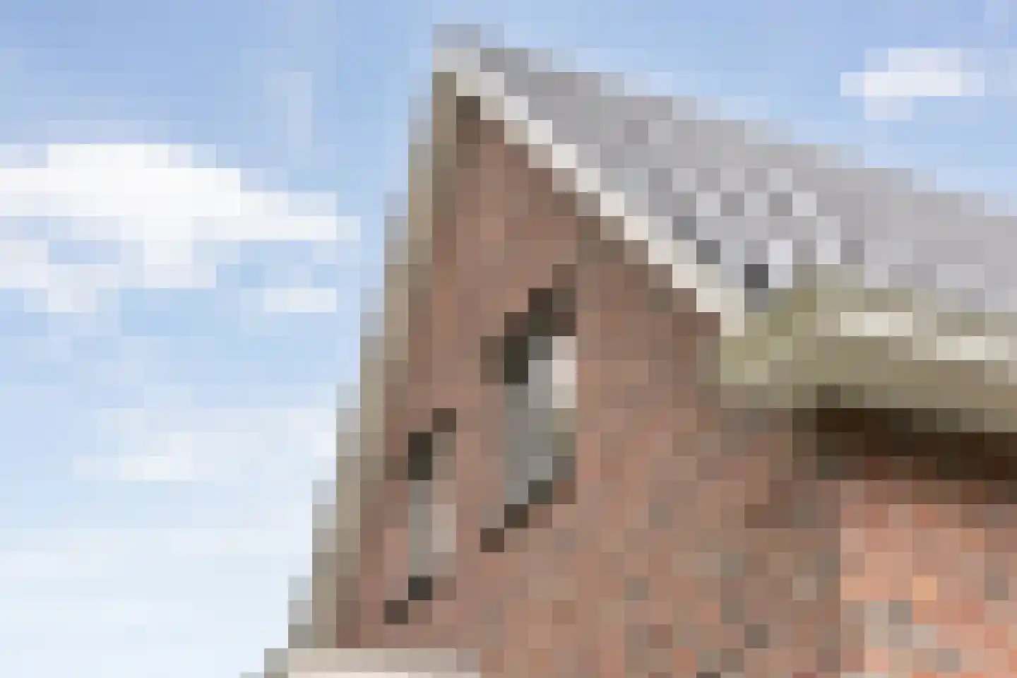 De Waide 2 Nieuw-Schoonebeek thumbnail 12