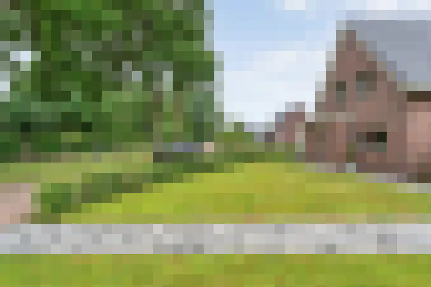 De Waide 2 Nieuw-Schoonebeek thumbnail 13