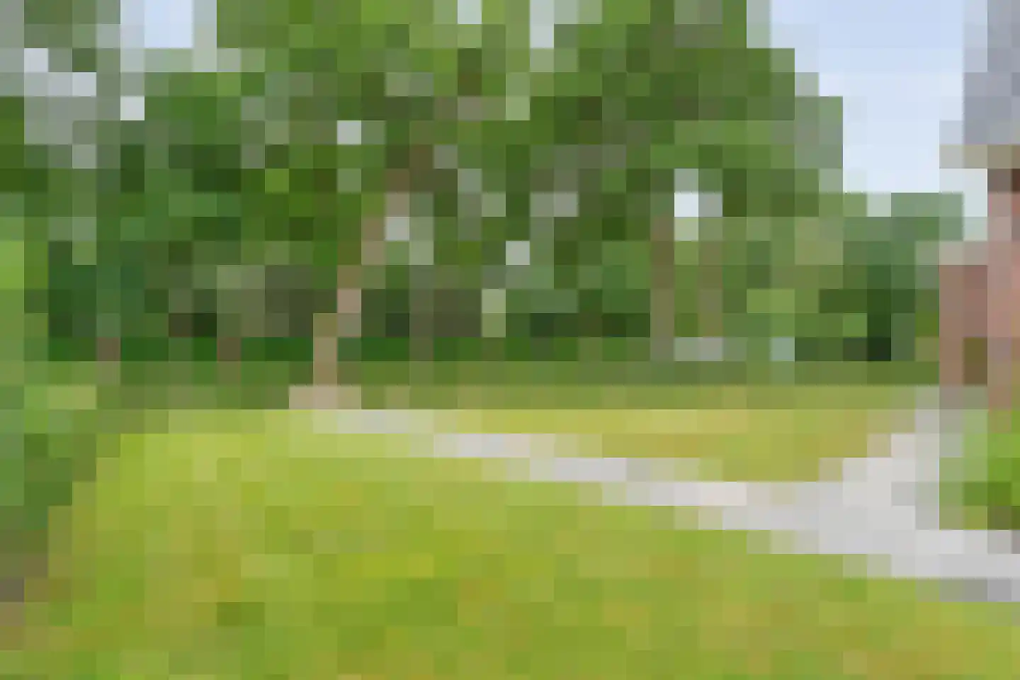 De Waide 2 Nieuw-Schoonebeek thumbnail 18