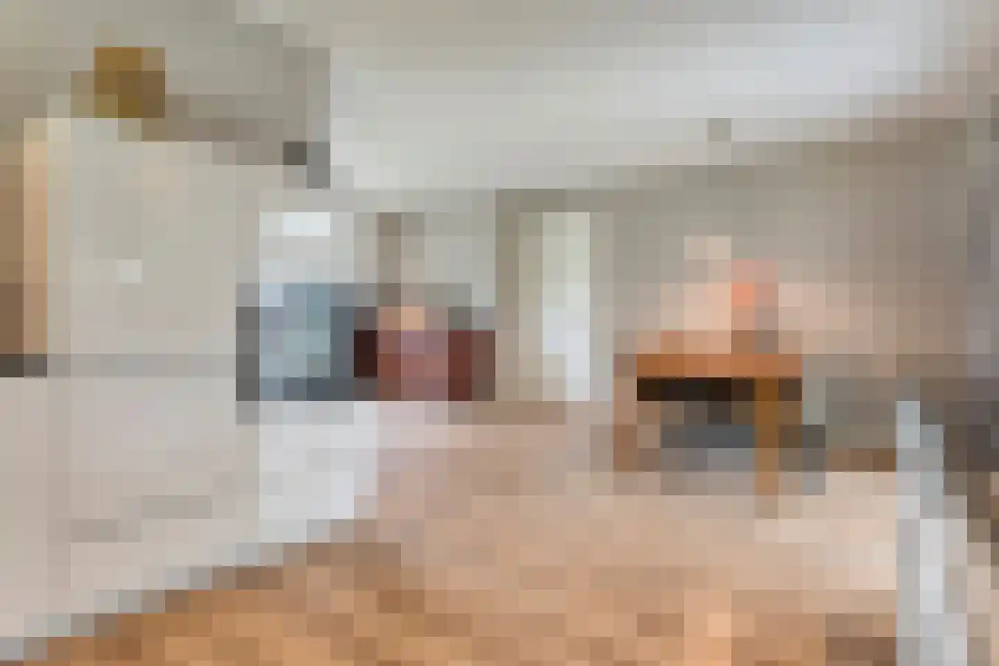 De Waide 2 Nieuw-Schoonebeek thumbnail 27