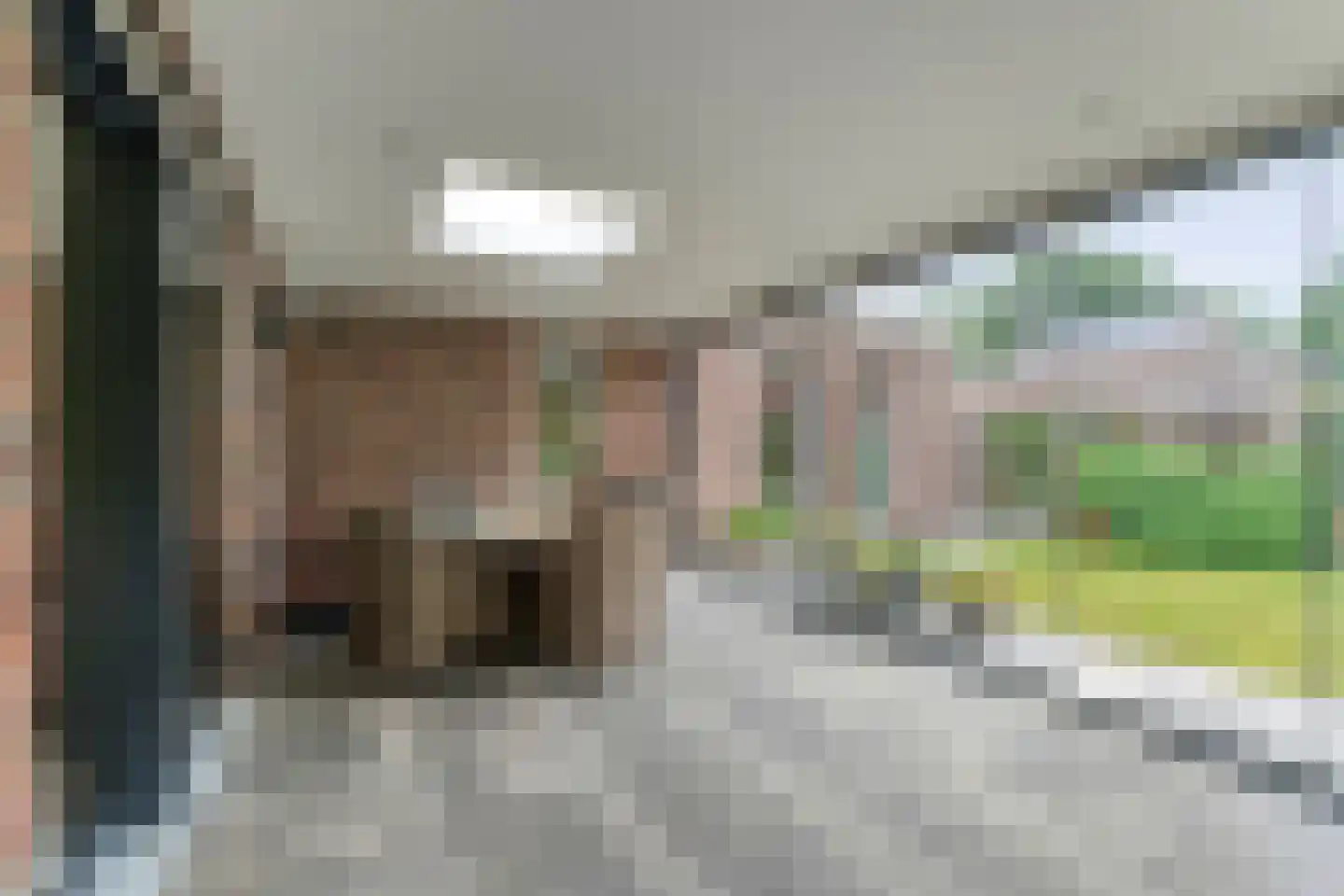 De Waide 2 Nieuw-Schoonebeek thumbnail 53