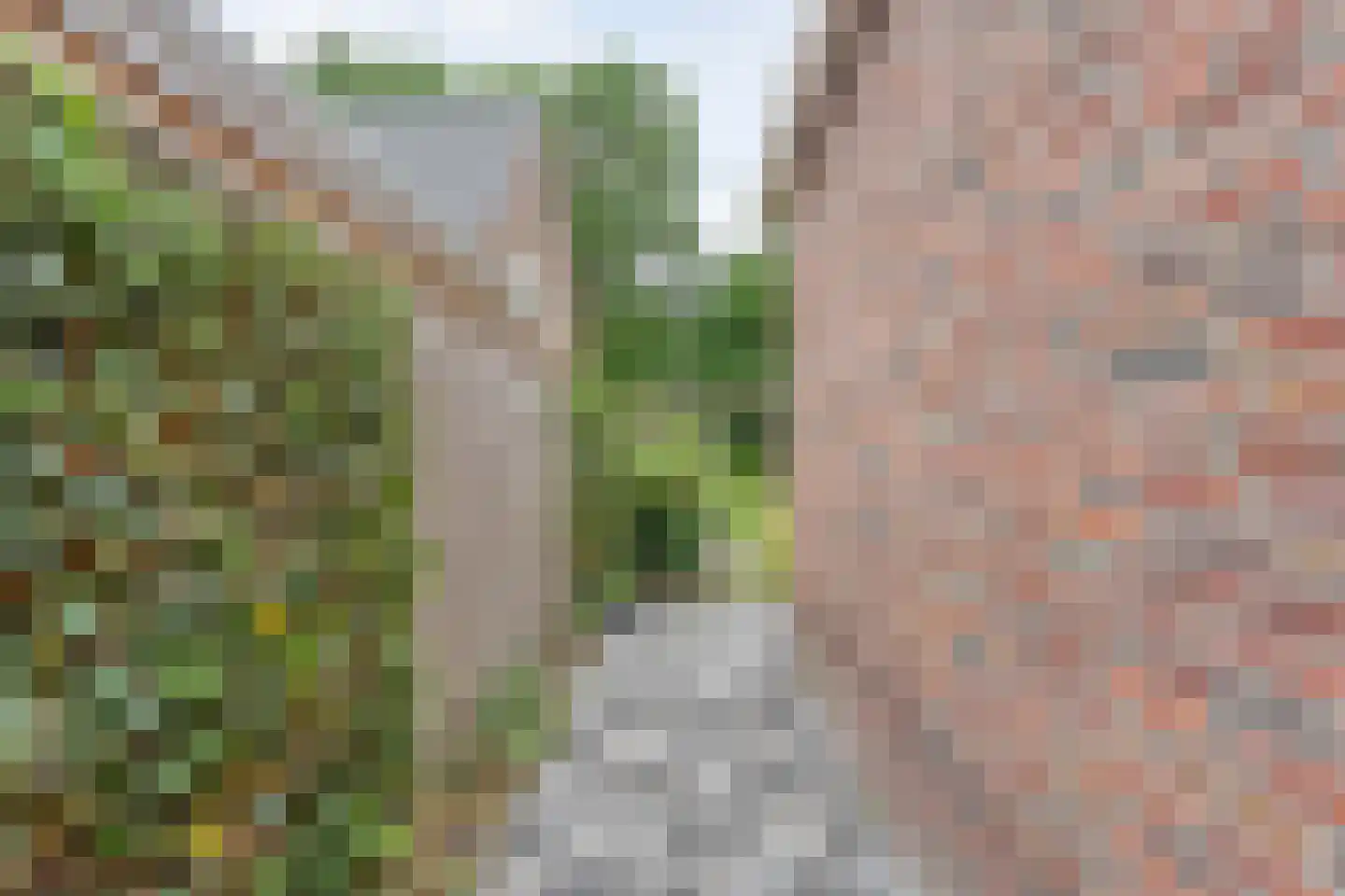 De Waide 2 Nieuw-Schoonebeek thumbnail 58