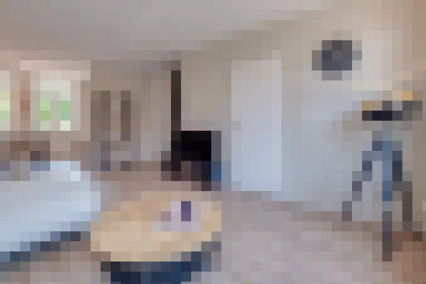 De Wal 1 Stevensweert thumbnail 10