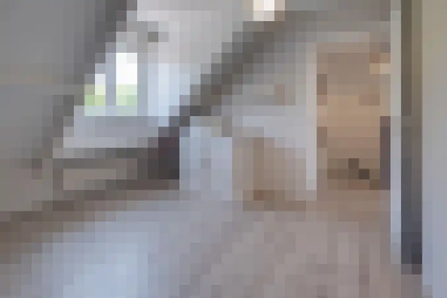 De Wal 1 Stevensweert thumbnail 25