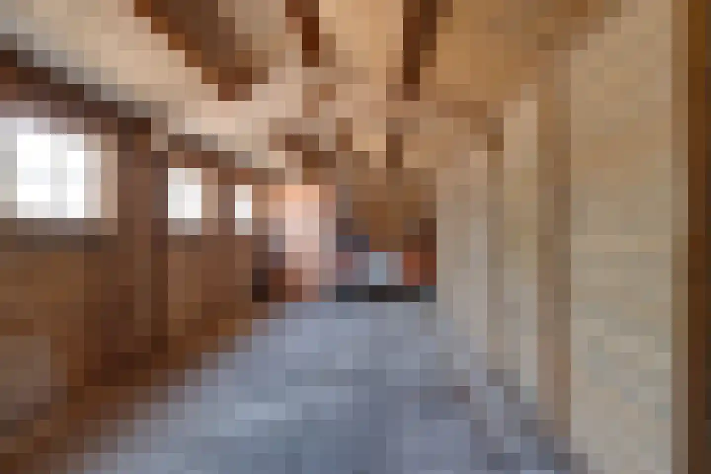 De Wal 1 Stevensweert thumbnail 27