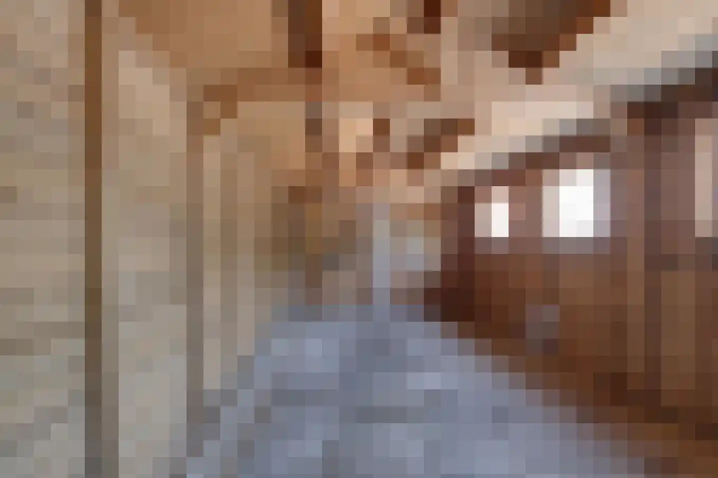 De Wal 1 Stevensweert thumbnail 28