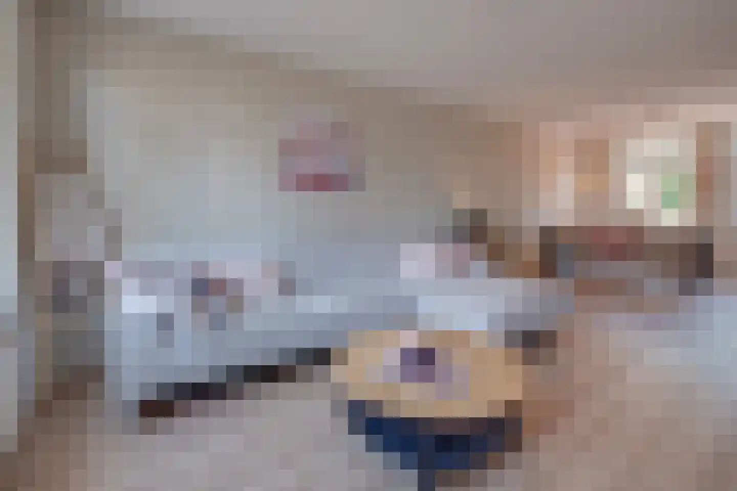 De Wal 1 Stevensweert thumbnail 8