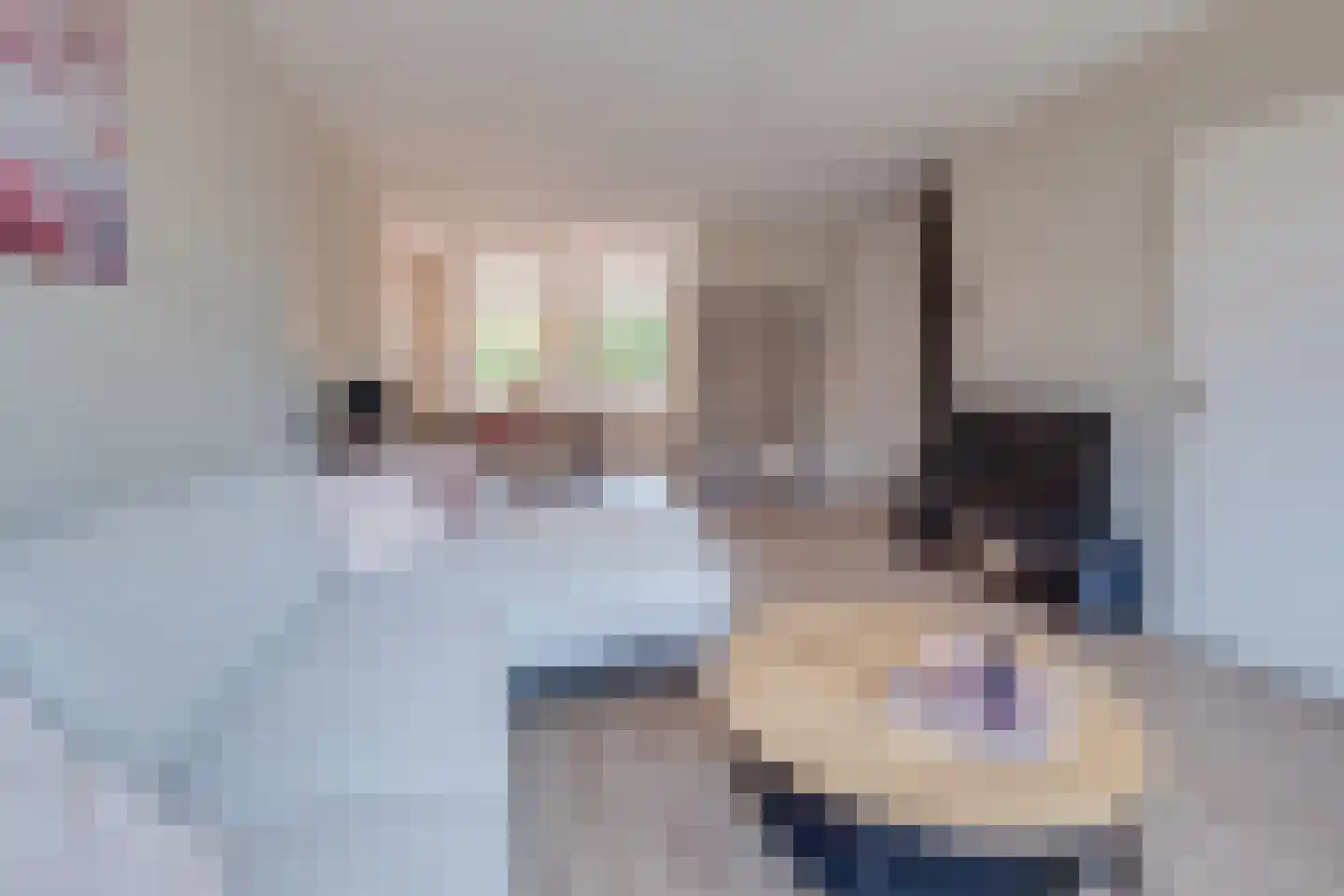 De Wal 1 Stevensweert thumbnail 9