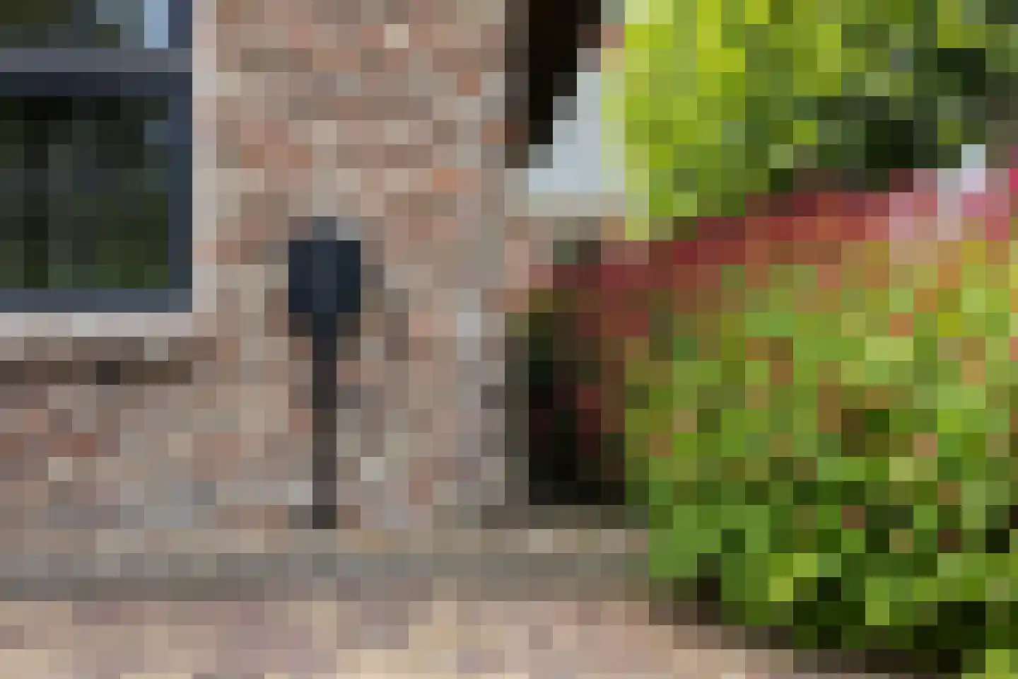 De Wâl 10 Hurdegaryp thumbnail 12