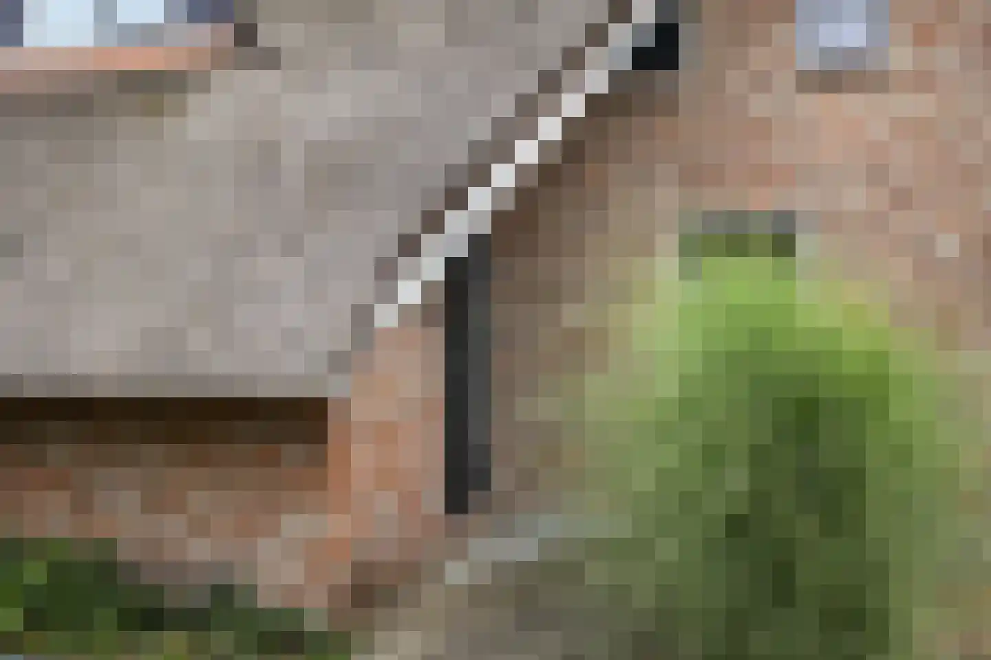 De Wâl 10 Hurdegaryp thumbnail 14