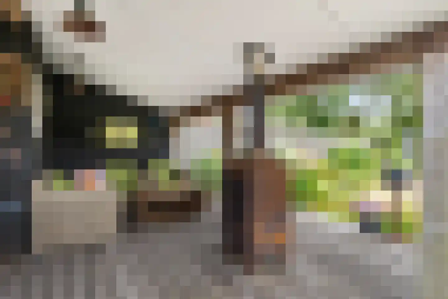 De Wâl 10 Hurdegaryp thumbnail 21