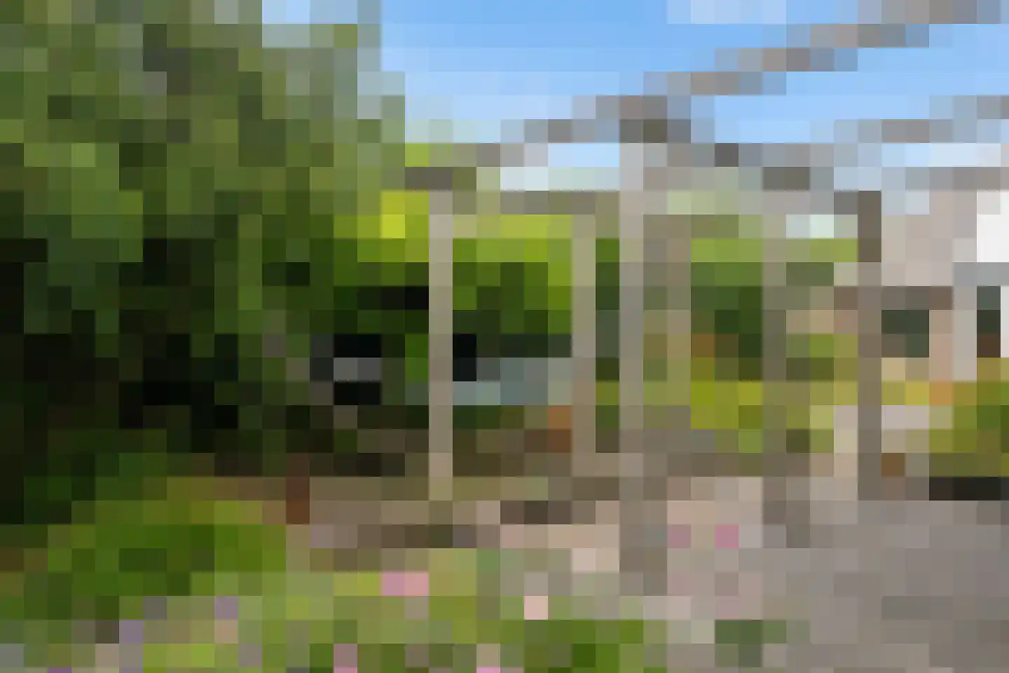 De Wâl 10 Hurdegaryp thumbnail 25
