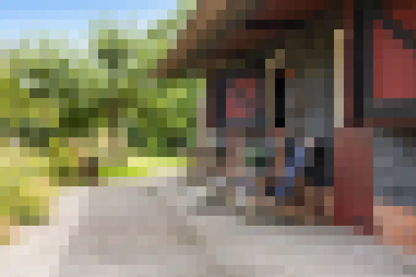 De Wâl 10 Hurdegaryp thumbnail 26