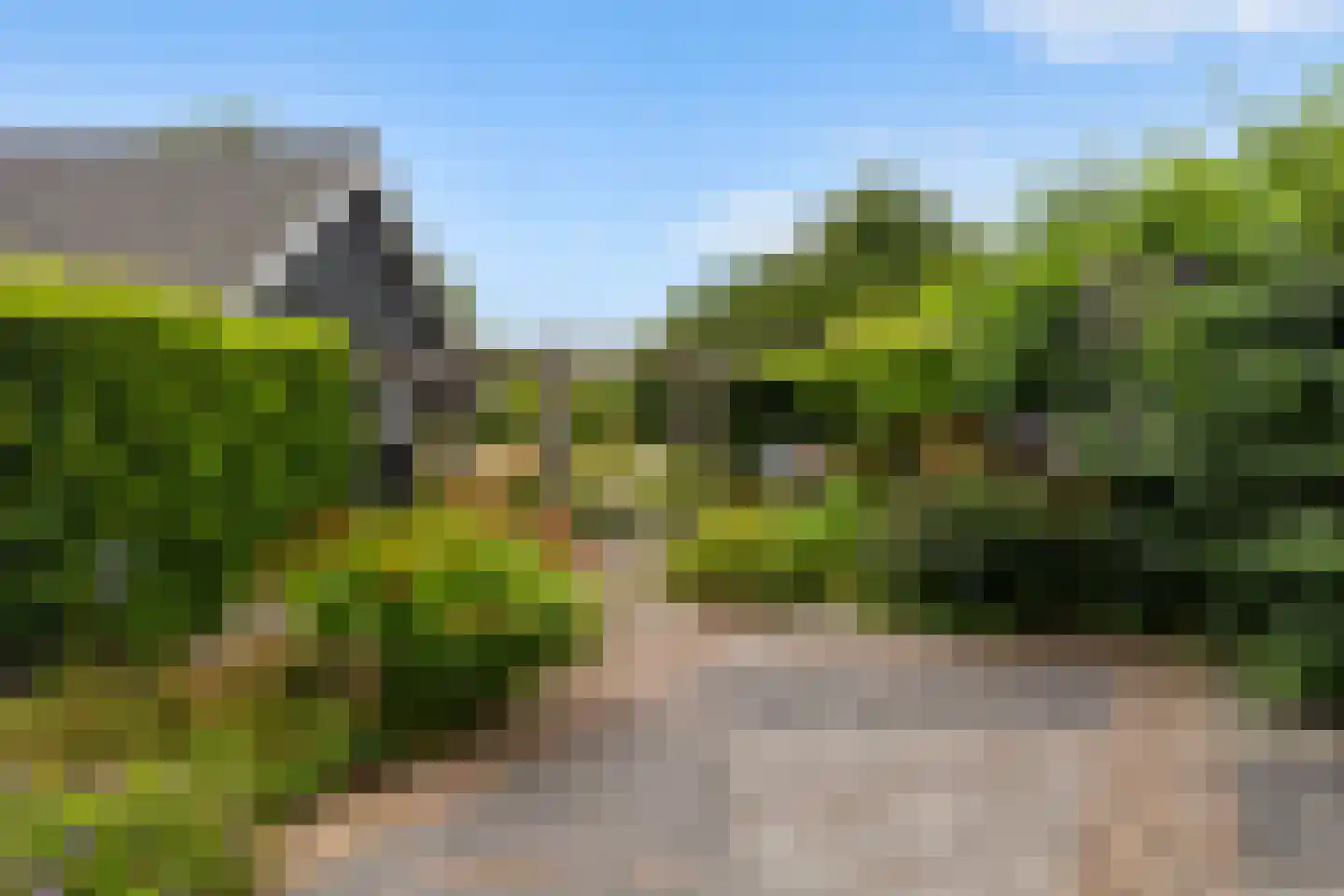 De Wâl 10 Hurdegaryp thumbnail 29