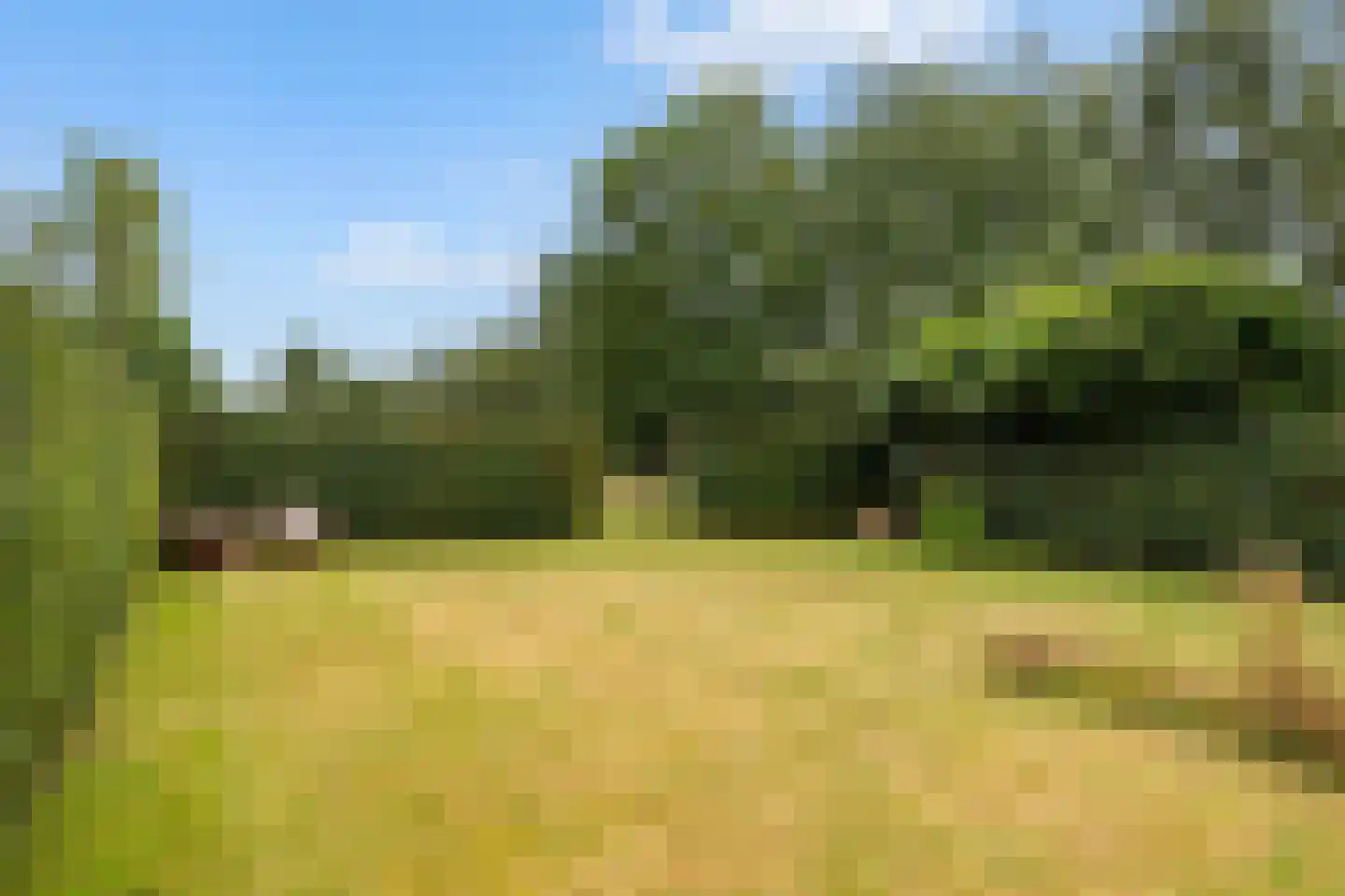 De Wâl 10 Hurdegaryp thumbnail 32