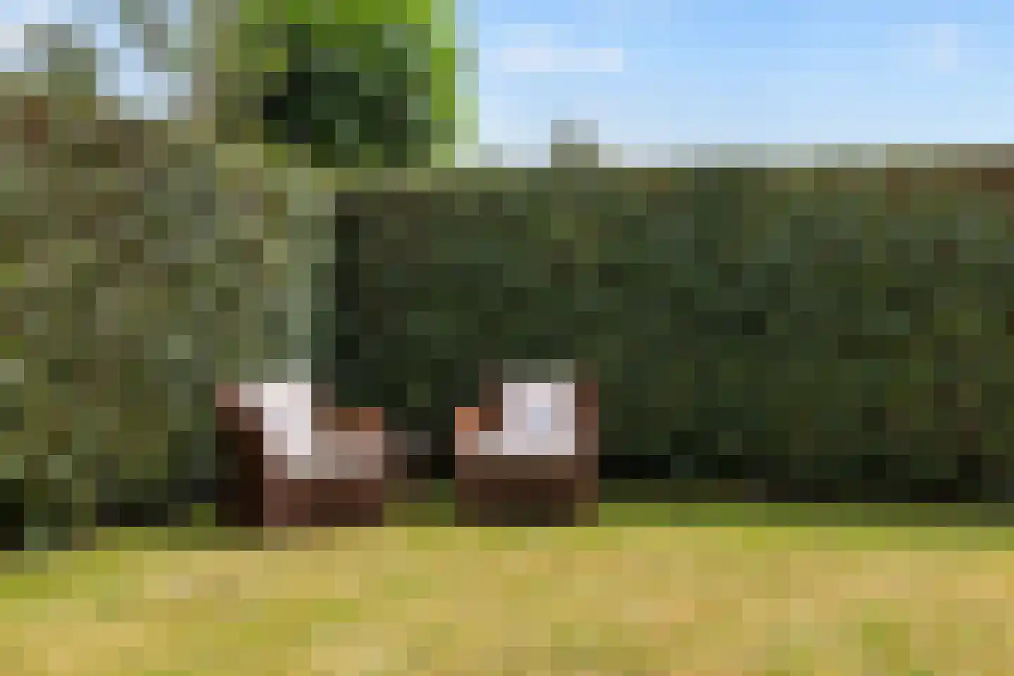 De Wâl 10 Hurdegaryp thumbnail 33