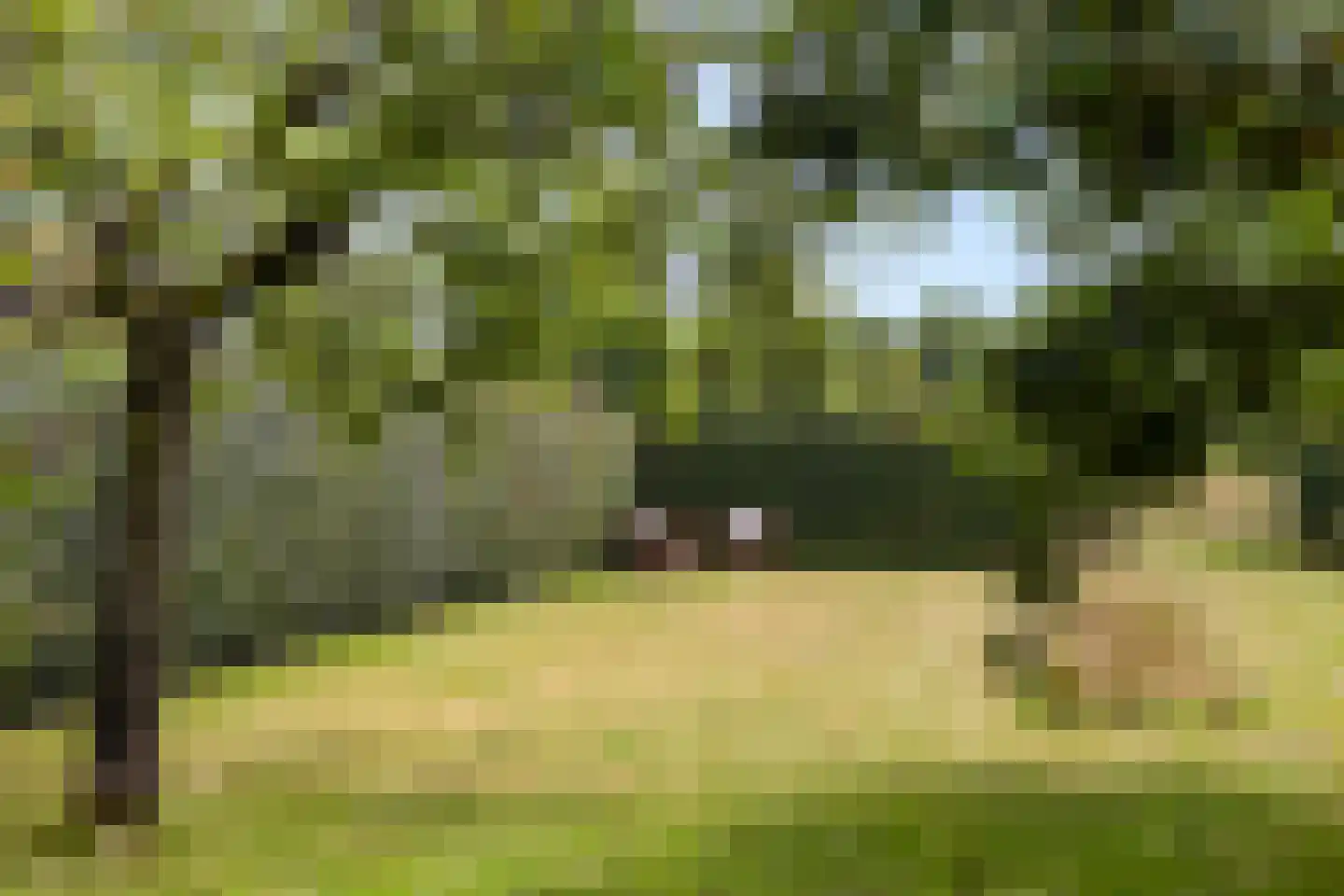 De Wâl 10 Hurdegaryp thumbnail 34