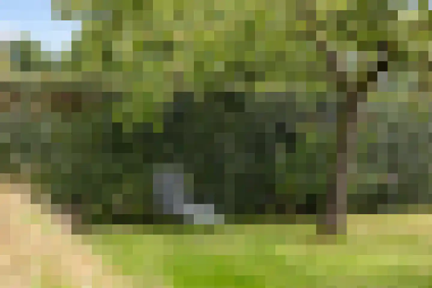 De Wâl 10 Hurdegaryp thumbnail 35