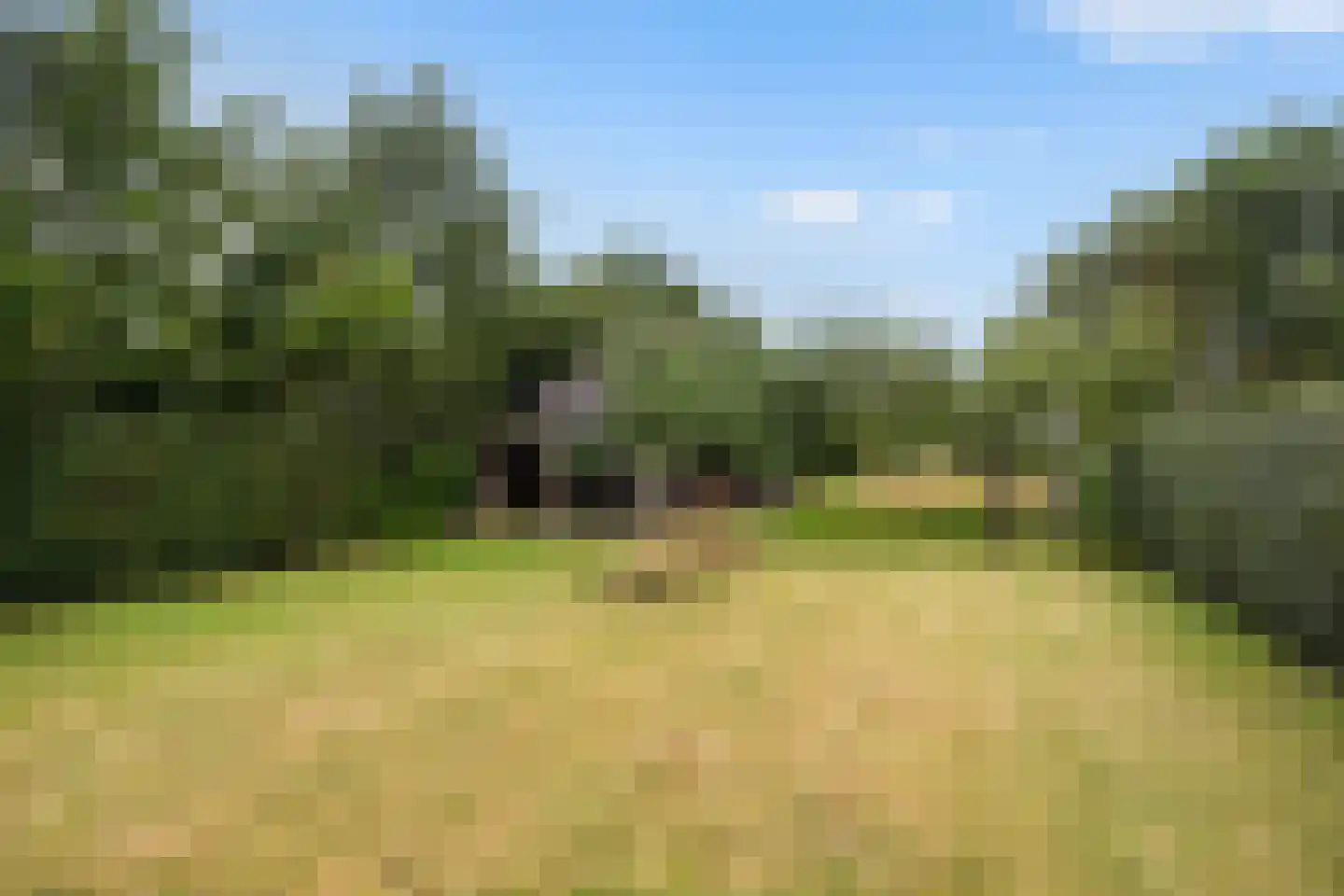 De Wâl 10 Hurdegaryp thumbnail 36