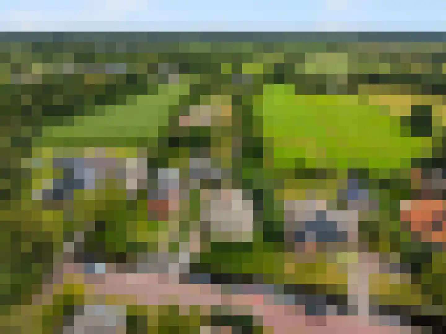 De Wâl 10 Hurdegaryp thumbnail 37