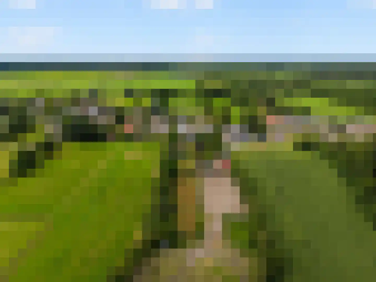 De Wâl 10 Hurdegaryp thumbnail 38