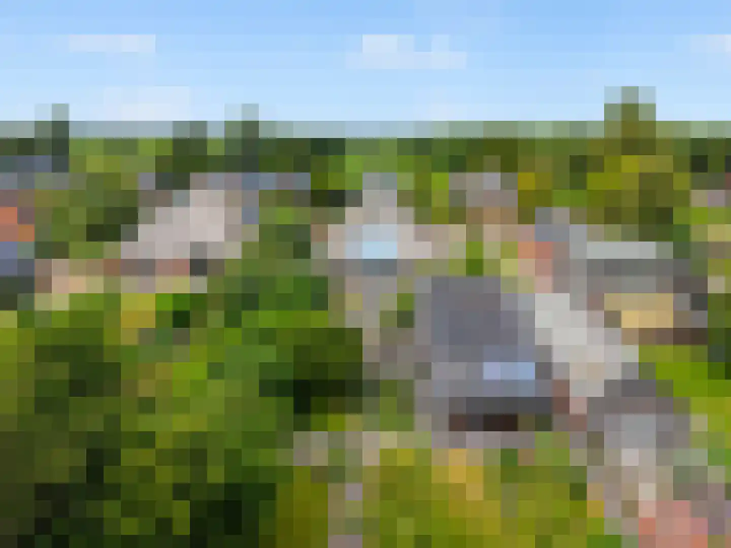 De Wâl 10 Hurdegaryp thumbnail 39