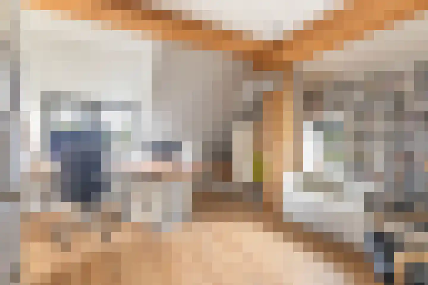 De Wâl 10 Hurdegaryp thumbnail 5