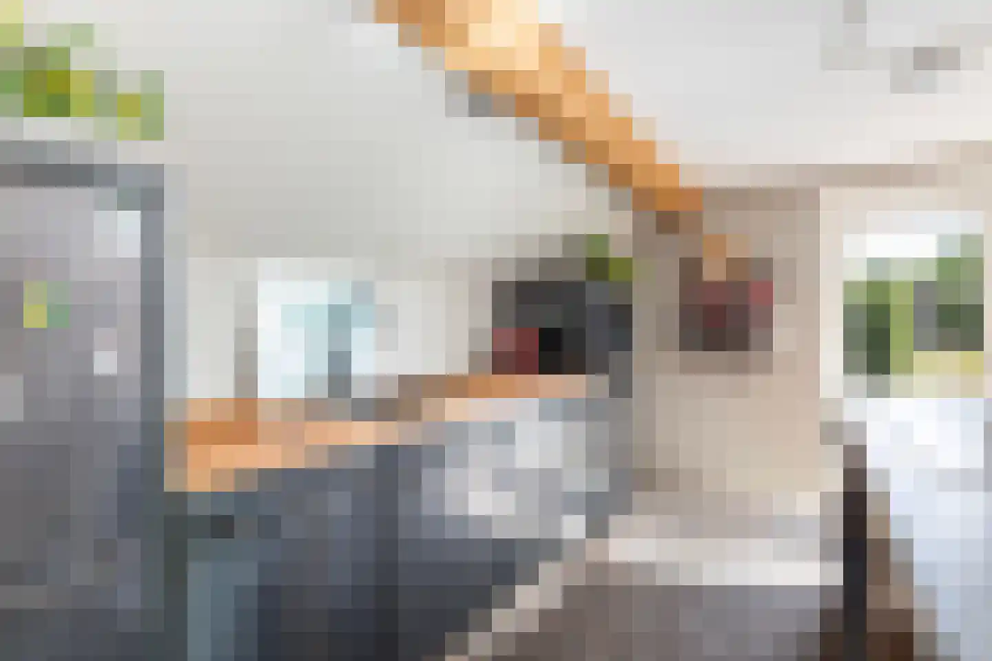 De Wâl 10 Hurdegaryp thumbnail 52