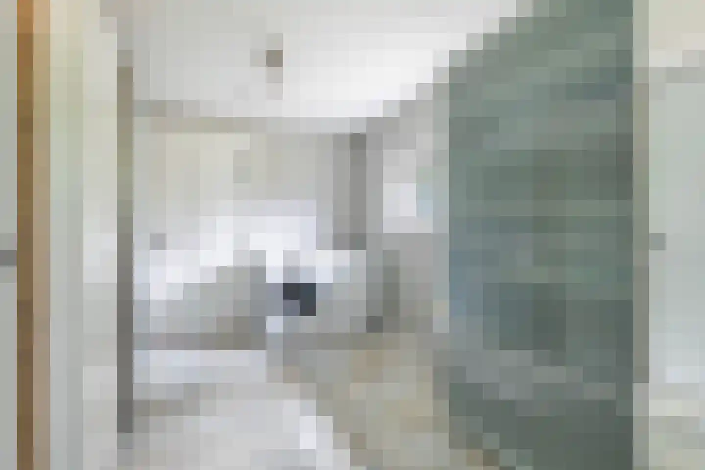 De Wâl 10 Hurdegaryp thumbnail 68