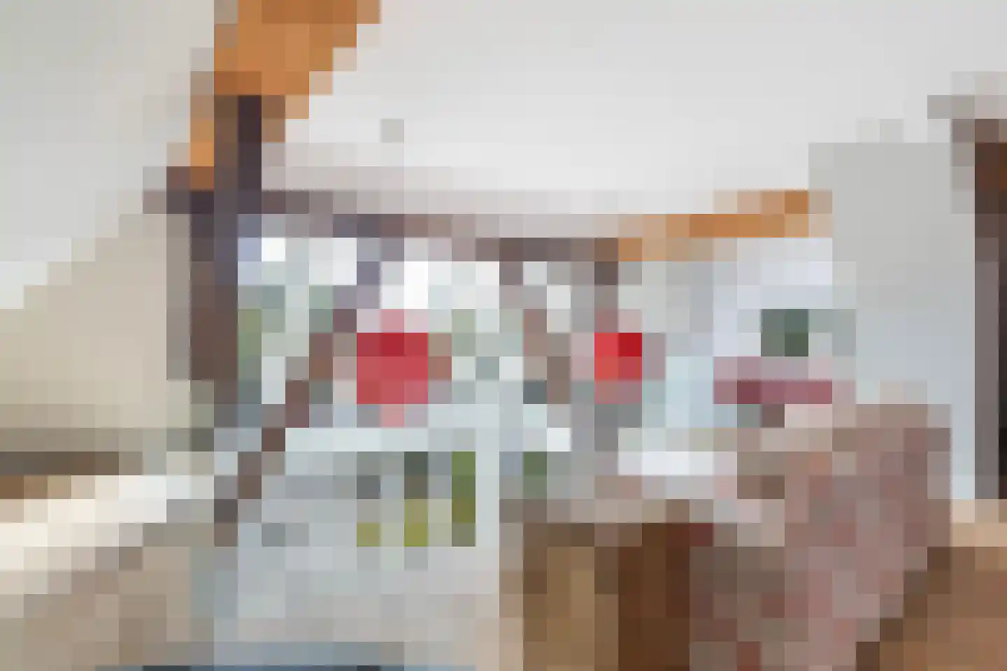 De Wâl 10 Hurdegaryp thumbnail 74