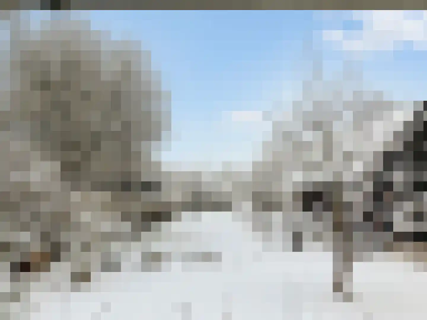 De Wâl 10 Hurdegaryp thumbnail 87