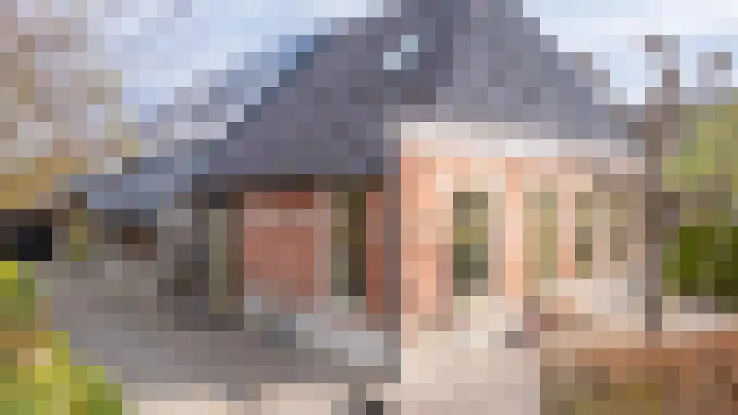 De Wâl 23 Feanwâlden thumbnail 10