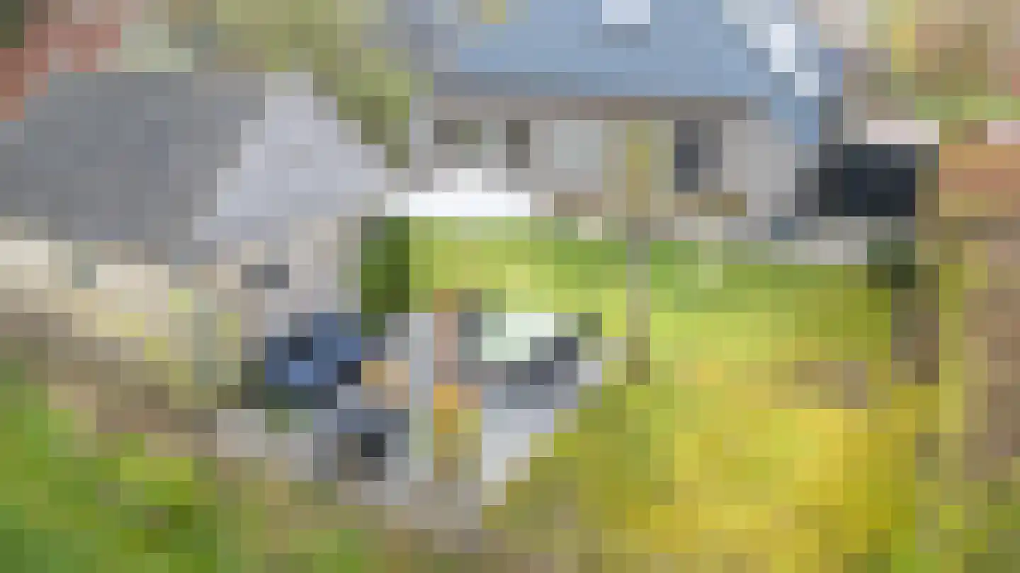 De Wâl 23 Feanwâlden thumbnail 13