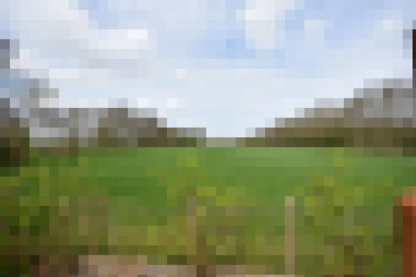 De Wâl 23 Feanwâlden thumbnail 17