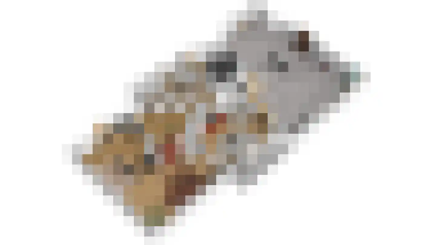 De Wâl 23 Feanwâlden thumbnail 20