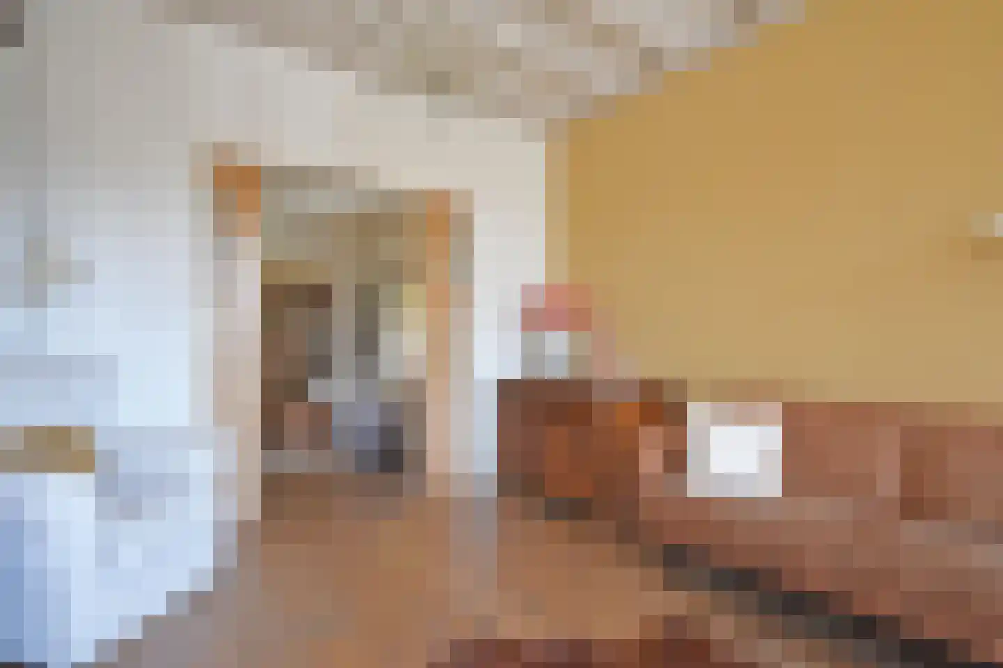De Wâl 23 Feanwâlden thumbnail 33