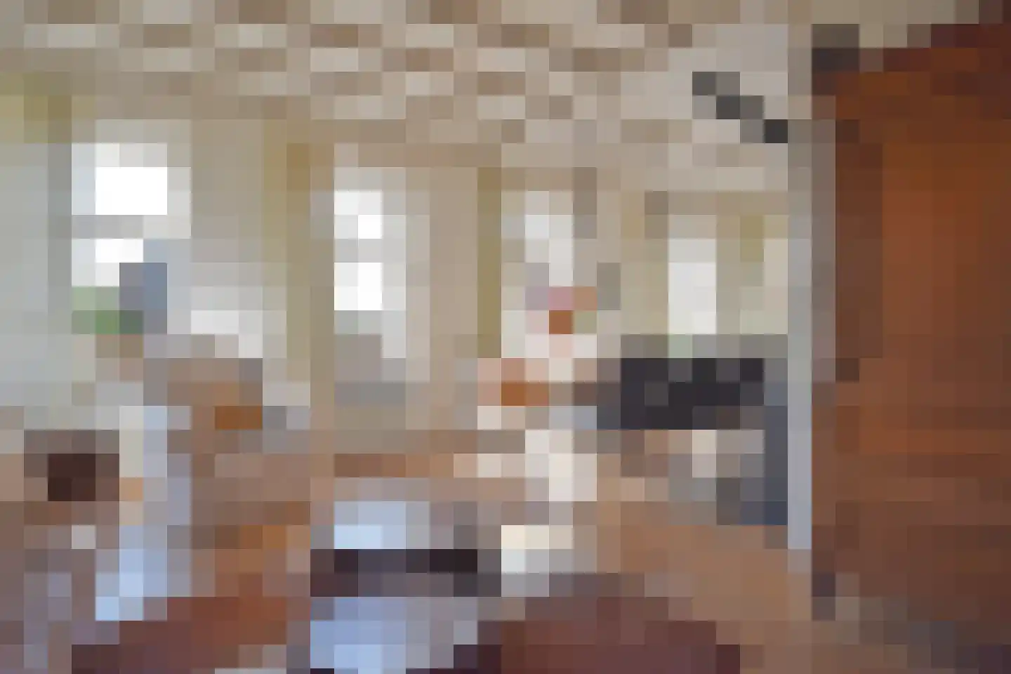 De Wâl 23 Feanwâlden thumbnail 39