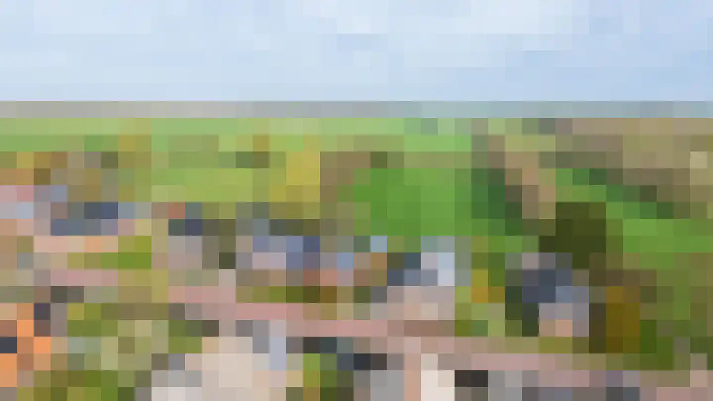 De Wâl 23 Feanwâlden thumbnail 4