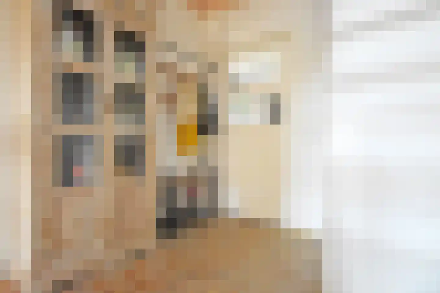 De Wâl 23 Feanwâlden thumbnail 42
