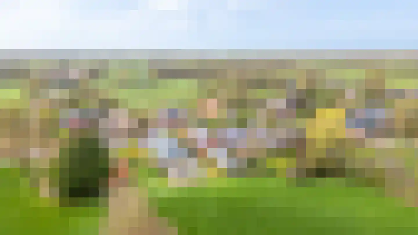 De Wâl 23 Feanwâlden thumbnail 5