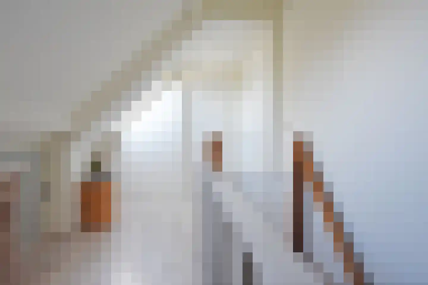 De Wâl 23 Feanwâlden thumbnail 51