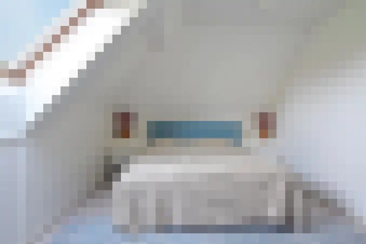 De Wâl 23 Feanwâlden thumbnail 54
