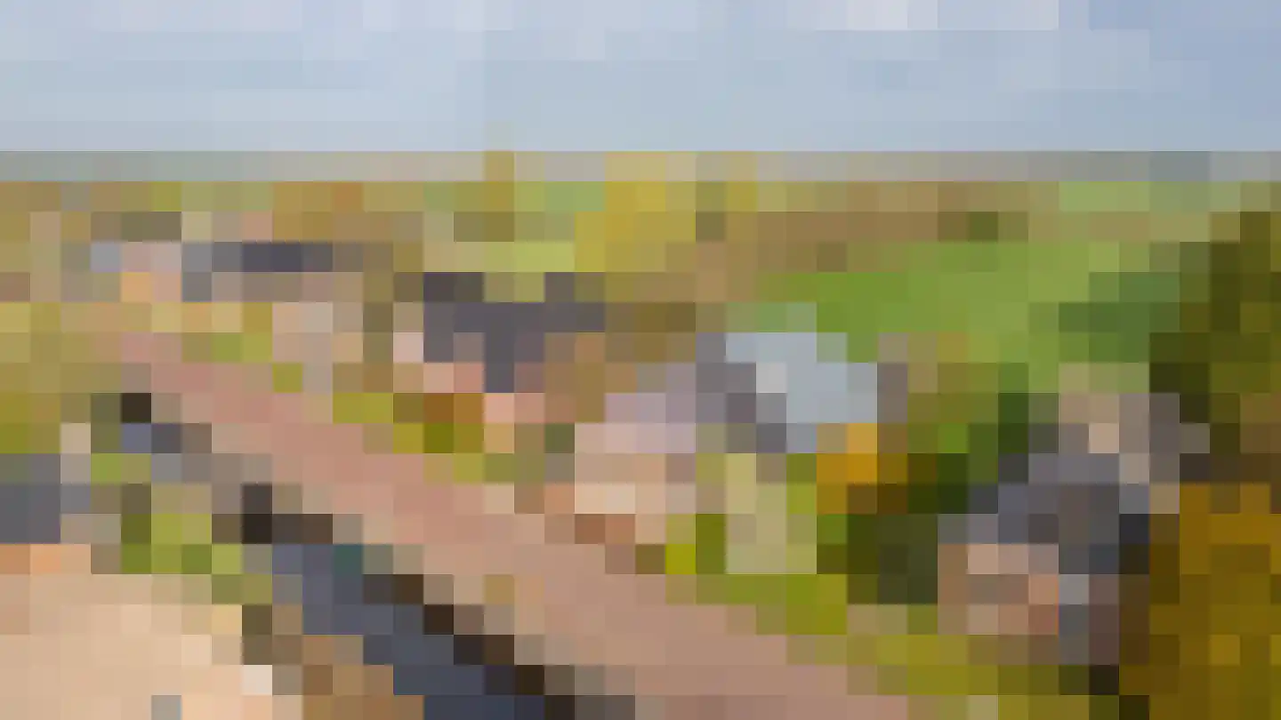 De Wâl 23 Feanwâlden thumbnail 6