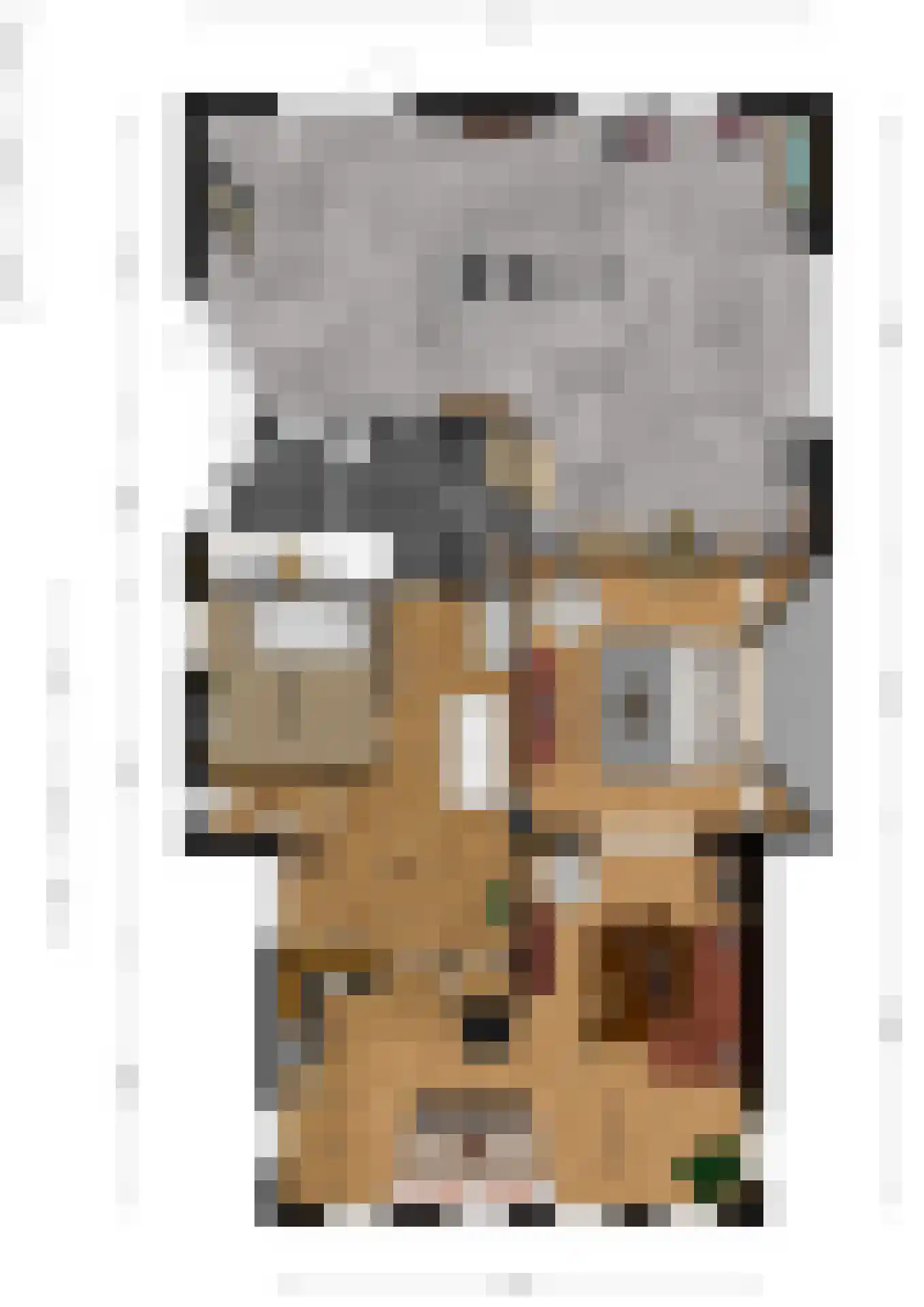 De Wâl 23 Feanwâlden thumbnail 68