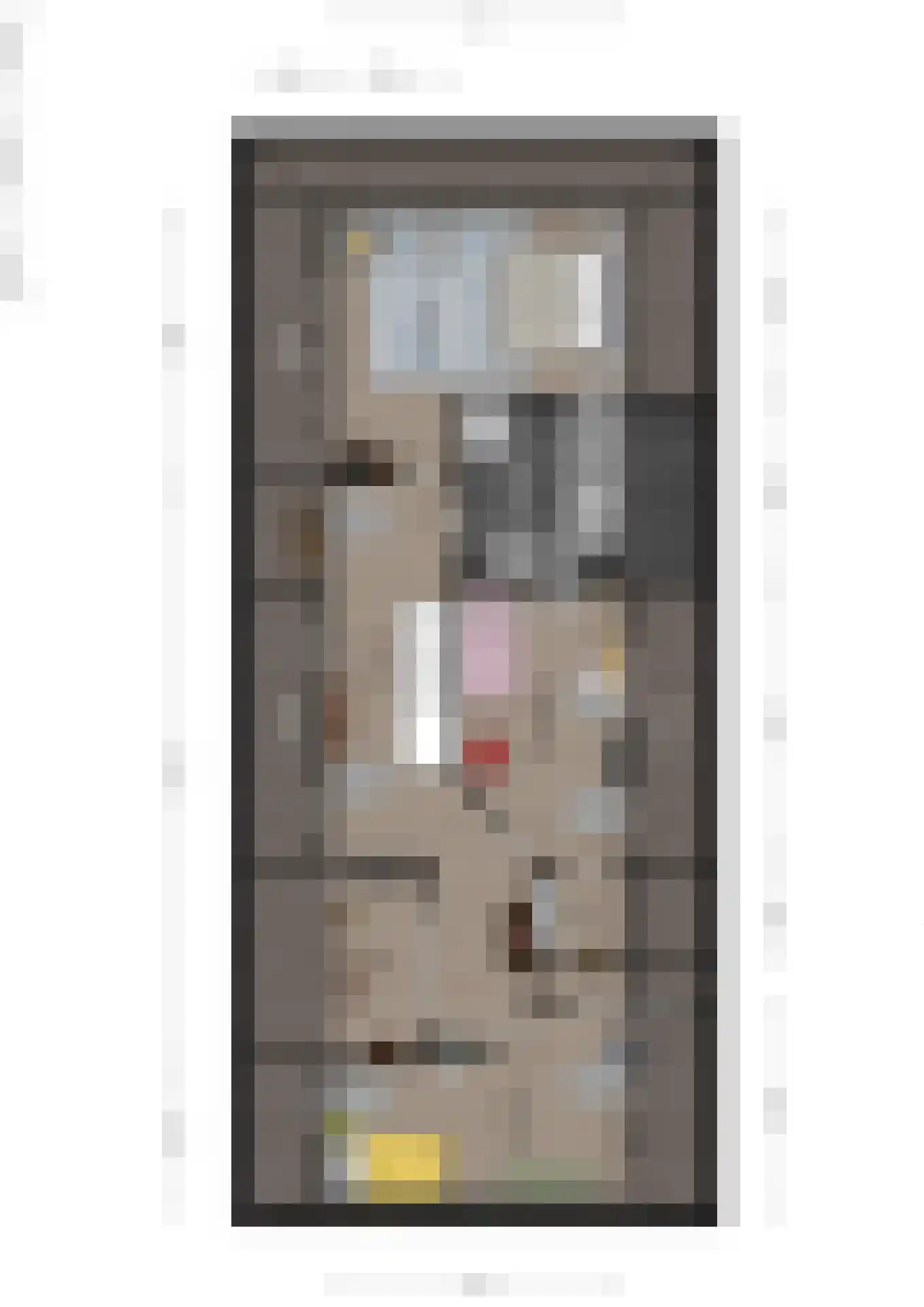 De Wâl 23 Feanwâlden thumbnail 69